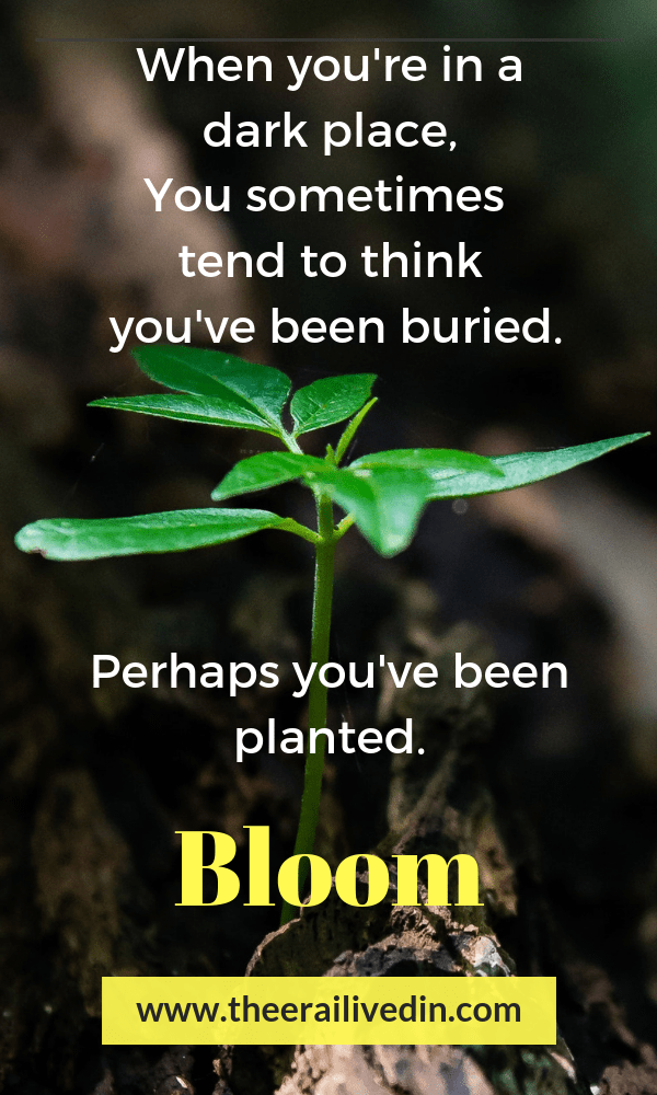 A changed perspective can change your life. A change your perspective quote. How a shift in my perspective helped me step out of the rut and lead a more peaceful life that helped me thrive. Read the full story on the blog.