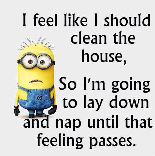 Why I don't want my house to be sparkling clean? I have been a borderline cleanliness freak all my life. Something life-changing happened yesterday that inspired​ this story. Read the full story on my blog. #theerailivedin #cleanliness #lifestyle #bloggers #momlife