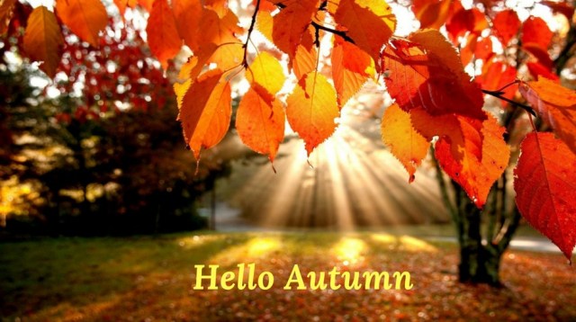 hello-autumn