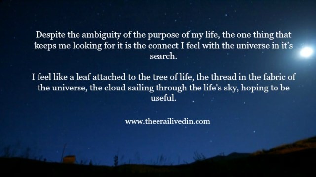 Have you been in pursuit of the purpose of your life? Have you been mindfully trying to connect your soul with the universe? I too have been. Read my article to get an insight into my takeaways from this insightful journey so far. #mindfulness #purposeoflife #spirituality #theerailivedin #reflection #quotes