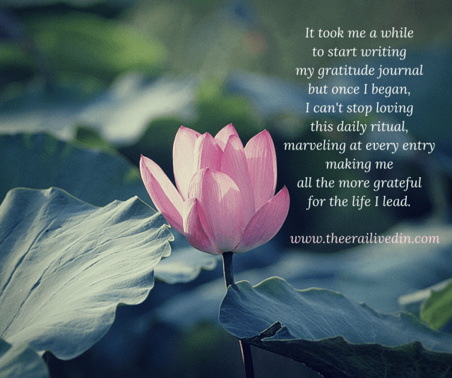 what-am-i-grateful-for-today